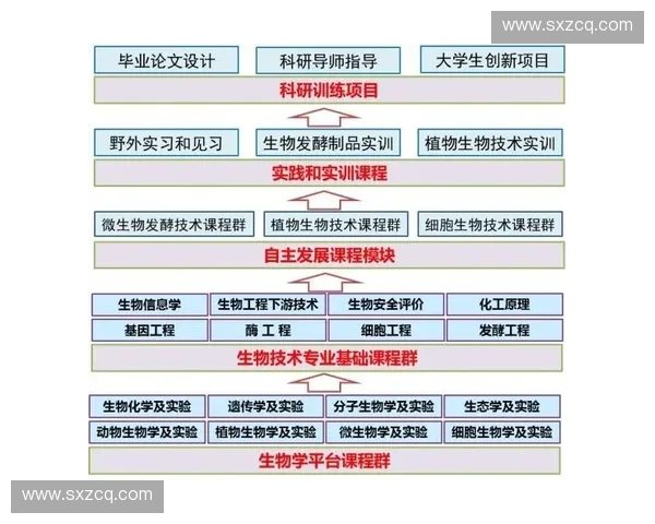 基于体育积分系统的赛事激励机制与公平评价新模式研究构建与应用探索
